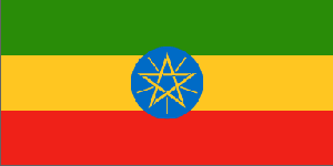 埃塞俄比亚旅游签证